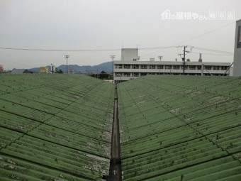 折版カバー工法