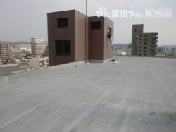 CIMG8924-e1519698366599-before-overlay