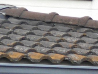 モニエル瓦屋根現場調査