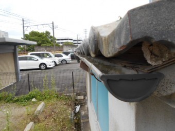 樋現場調査