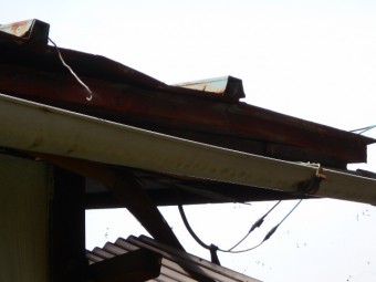 カラートタン瓦棒屋根現場調査