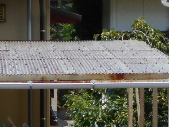 ポリカ屋根現場調査