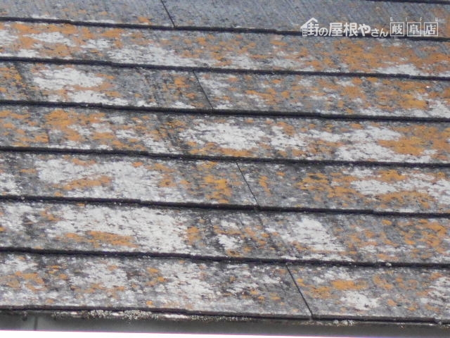 カラーベスト屋根現場調査