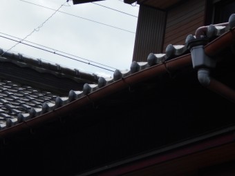 樋現場調査