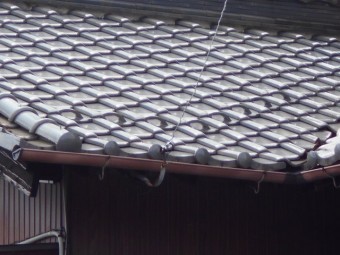 樋現場調査