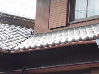 樋現場調査