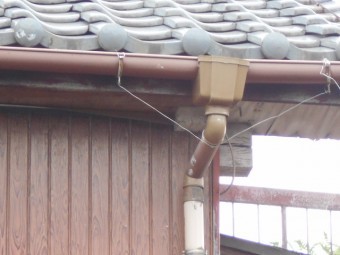 樋現場調査