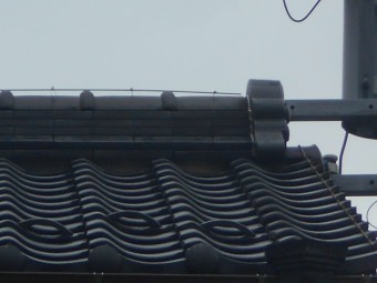 屋根点検