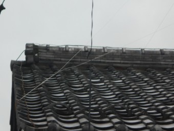 屋根点検