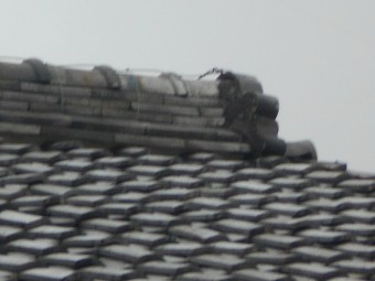 屋根点検