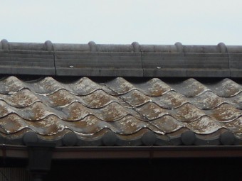 瓦U屋根現場調査