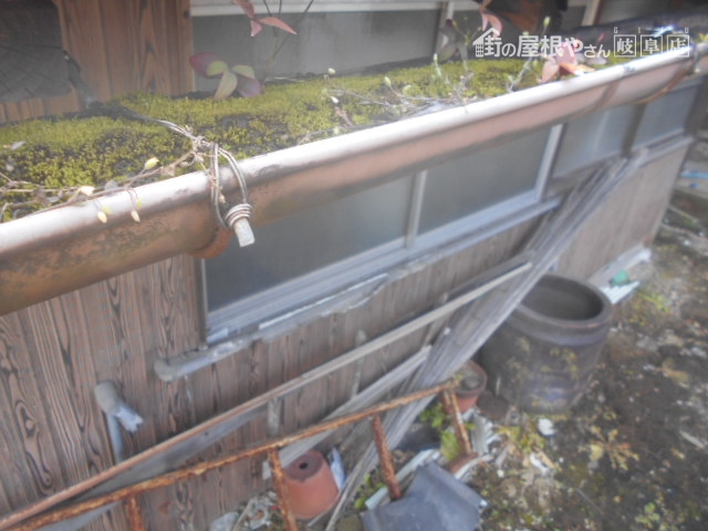 雨樋