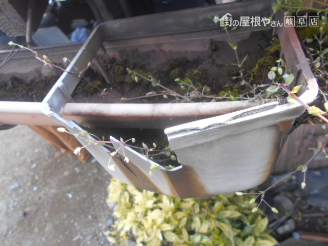 雨樋