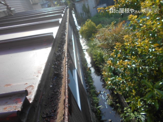 雨樋