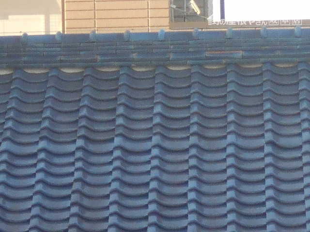 瓦屋根