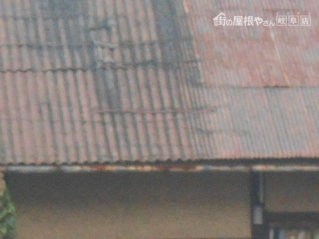 金属屋根