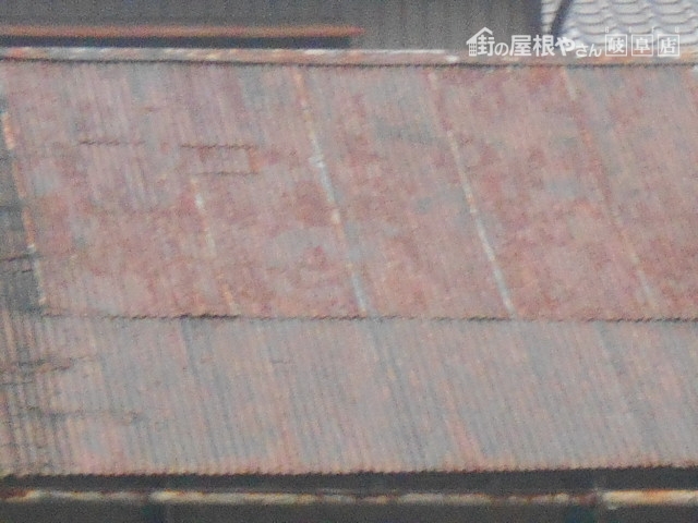 金属屋根
