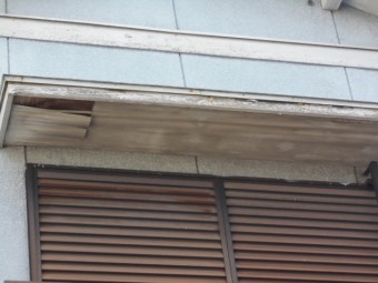 軒天現場調査