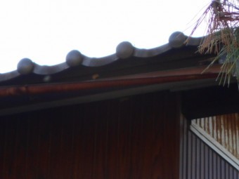 樋現場調査