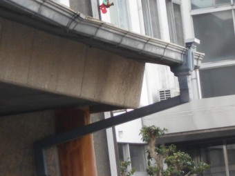 樋現場調査