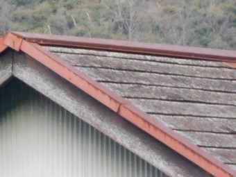 カラーベスト屋根無料調査