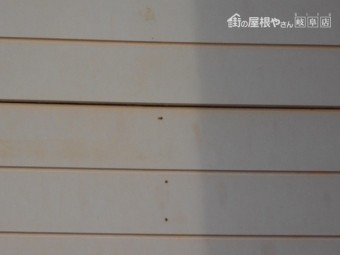 外壁調査