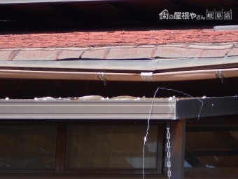 シングル屋根調査