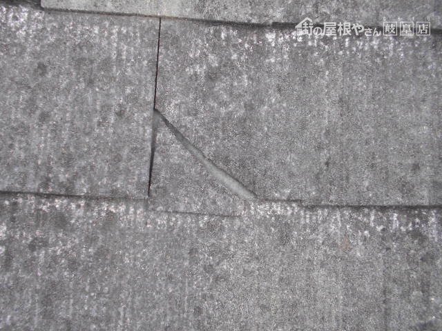カラーベスト