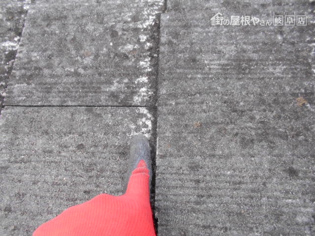 カラーベスト