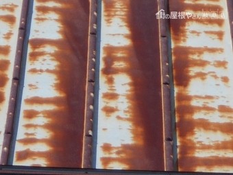 カラートタン瓦棒屋根調査