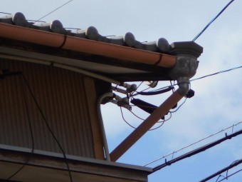 樋調査
