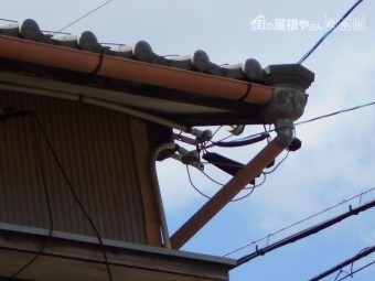 樋調査