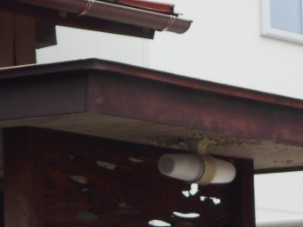 玄関屋根現場調査