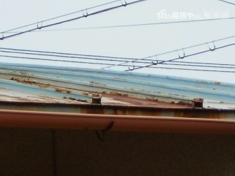 瓦棒屋根現場調査