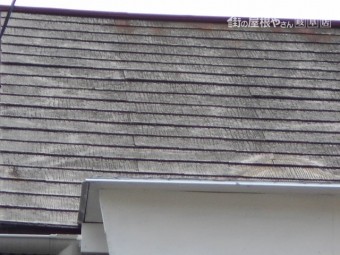 カラーベスト屋根現場調査