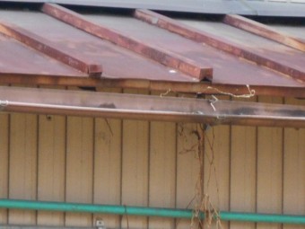 カラートタン瓦棒屋根調査