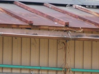 カラートタン瓦棒屋根調査