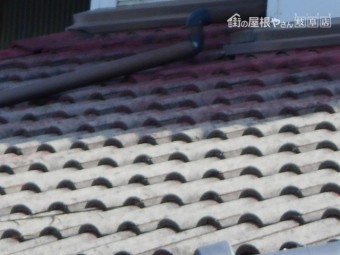 モニエル瓦現場調査