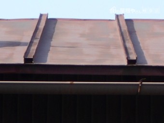 カラートタン瓦棒屋根調査