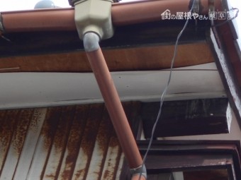 軒天調査