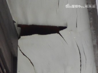 軒天調査
