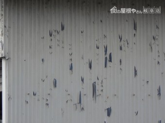 波トタン壁調査