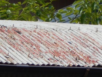 波トタン屋根調査