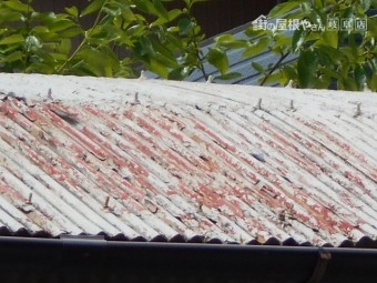 波トタン屋根調査