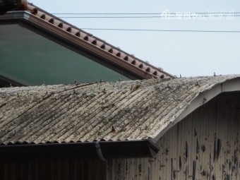 波トタン屋根調査