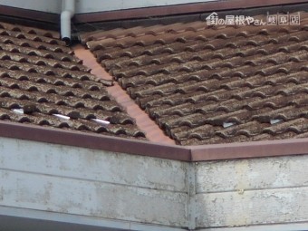 モニエル瓦現場調査