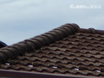 モニエル瓦現場調査