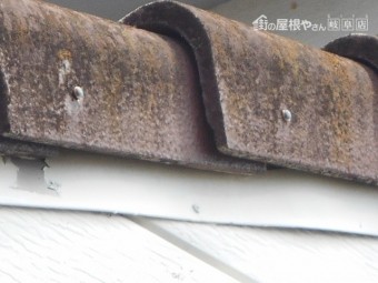 モニエル瓦現場調査