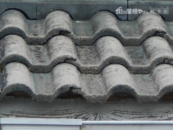 モニエル瓦現場調査
