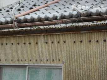 波板交換調査